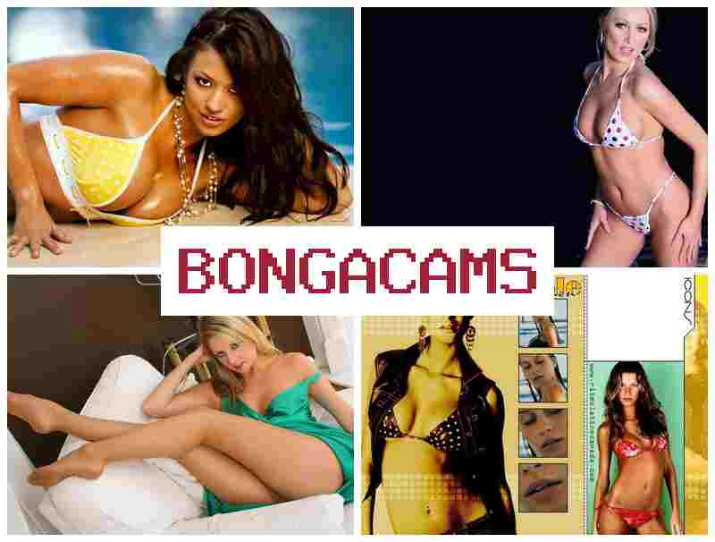 BONGA CAS 💜 Ass Sex & Porn Sex Big Ass