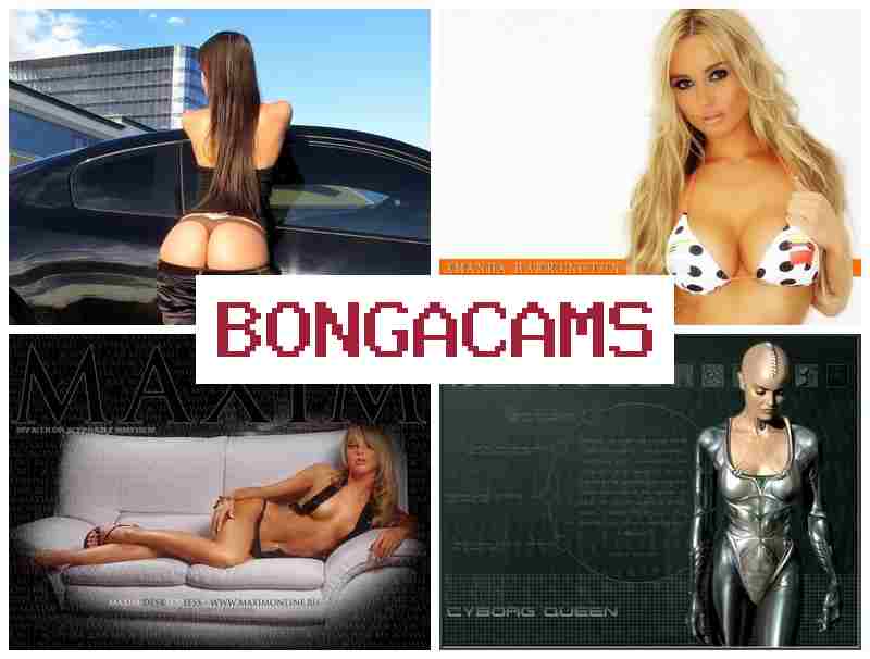 BONNGA CAMS 💓 Gay Sex Porn & Anal Squirt Sex