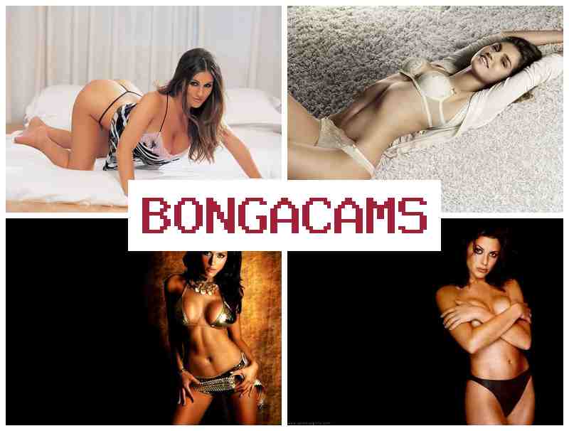 BONGGA CAMS 💯 Webcam, Teen Year & Webcam Sluts