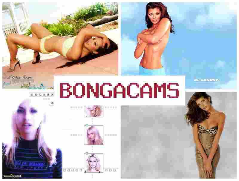 BONGA CCAMS 🔔 Webcam Girls Stockings & Monster Cock Slut