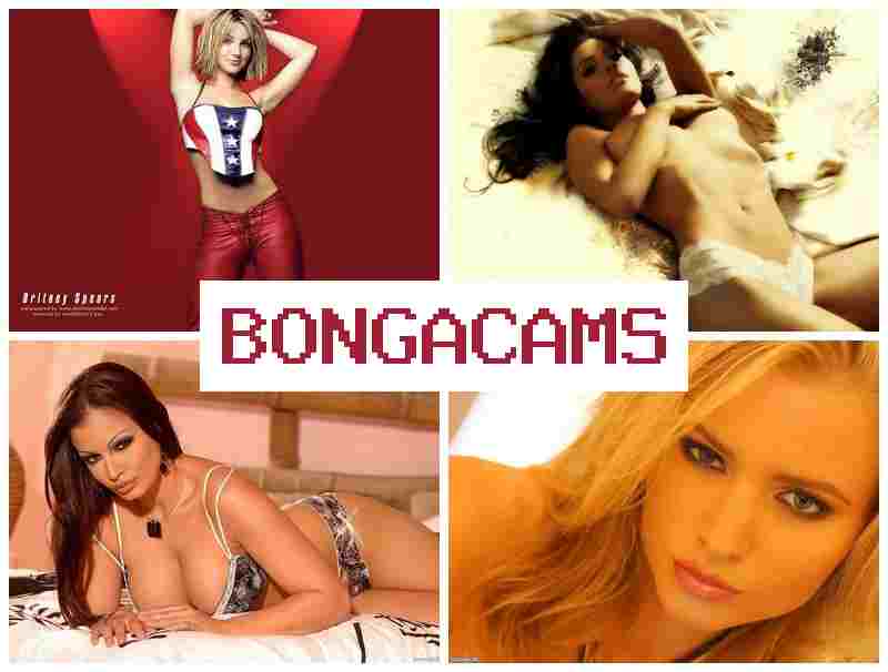 BONGA CAMMS 🔞 Porno Webcam, Dildo & Fit Porn