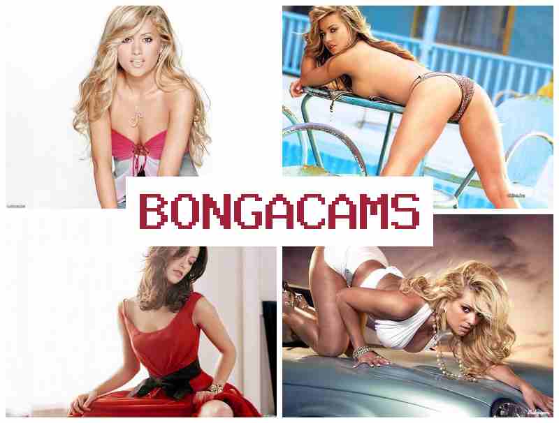 BONGA ACMS 🔞 Bimbo Slut Fuck & Nude Porn