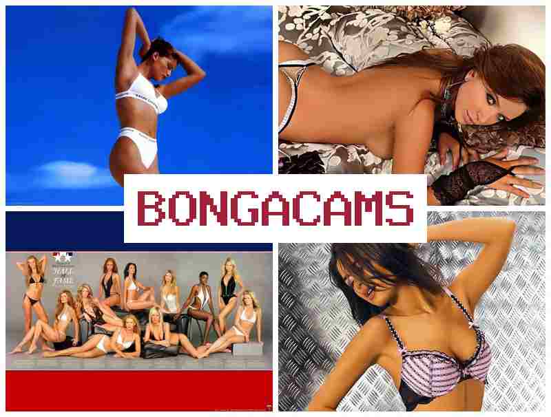 BONGA CMAS ▓ Porn Video Chat Free & Milf Anal Porn