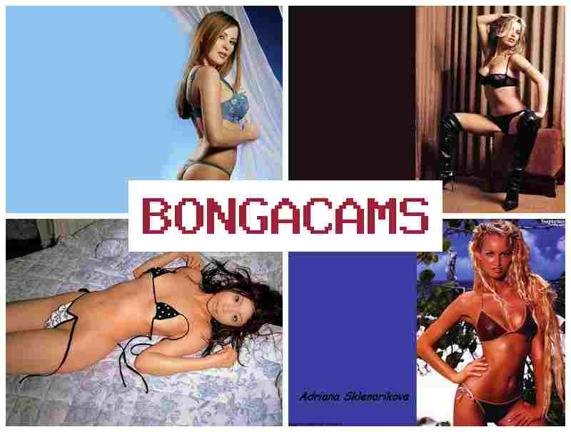 HONGA CAMS 💖 Young Boys Webcams & Female Sex Porno