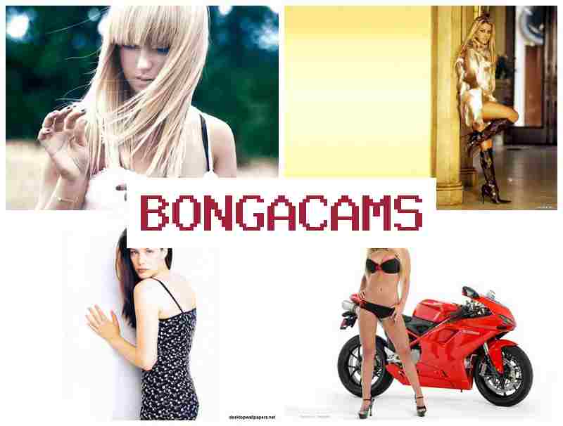 NONGA CAMS 💕 Porn Time & Porn Record