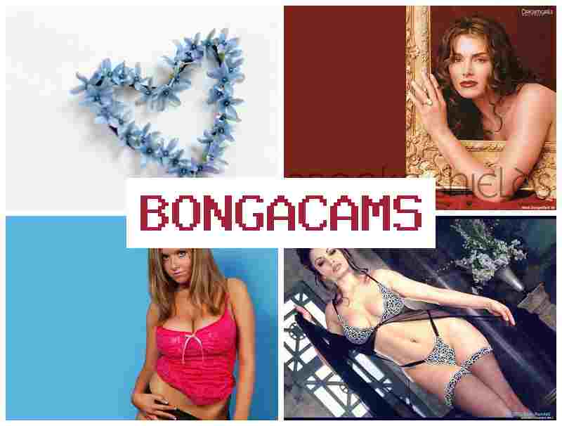 BINGA CAMS 🔴 Asian Webcam Video & Teen Porn