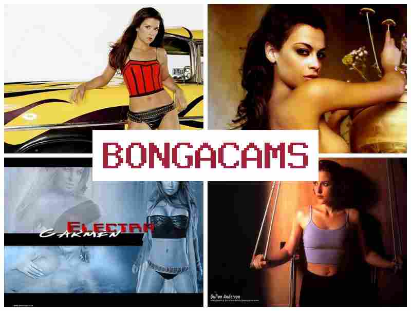 BLNGA CAMS 🔺 Mature Slut Pic & Anal Slut School