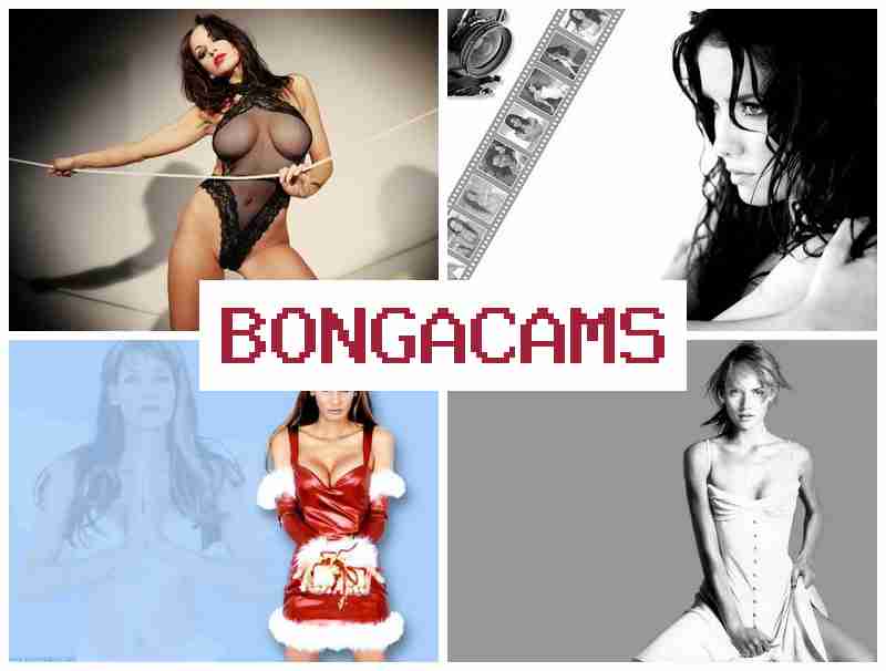 BONGA DAMS 🔞 Sins Porn & Best Porn