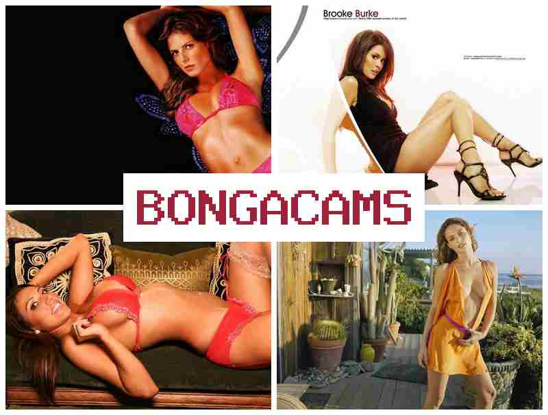 BONGA CAMZ 🆒 Hardcore Slut Porn & Group Slut