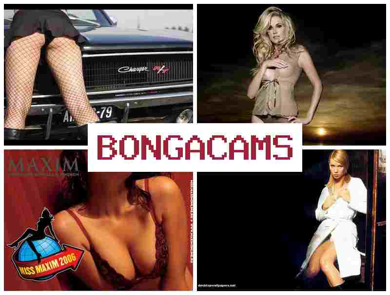 BONGACAAMS 💙 Hard Slut Porn & Porn Parody