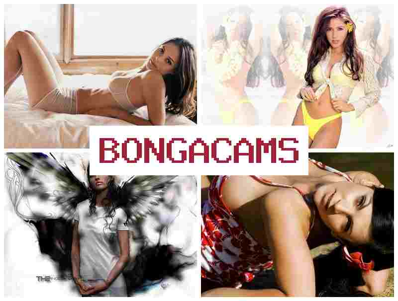 BONGACAMSS 🆒 Porn Ride & Love Porn