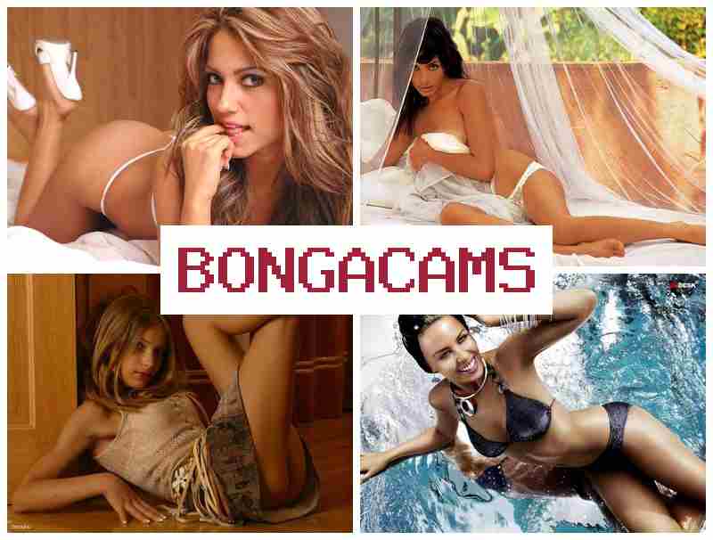 BONGACMAS 🎥 Young Pussy Masturbate, Webcam & Bondage Porn