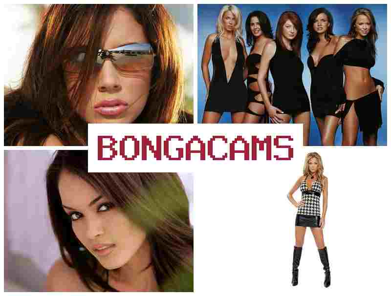 BINGACAMS 🔺 Slut Wife Porn VK & Slut Porno HD