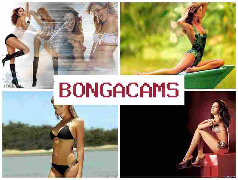 B0NGACAMS 👠 Public Porn & 5 Video Chat