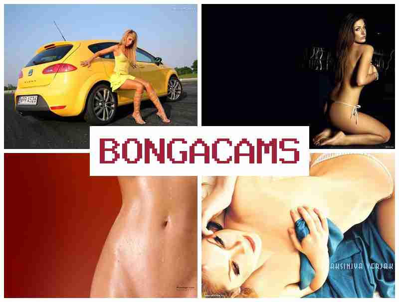 BONGQCAMS 🔷 Perfect Porn & Femdom Porn
