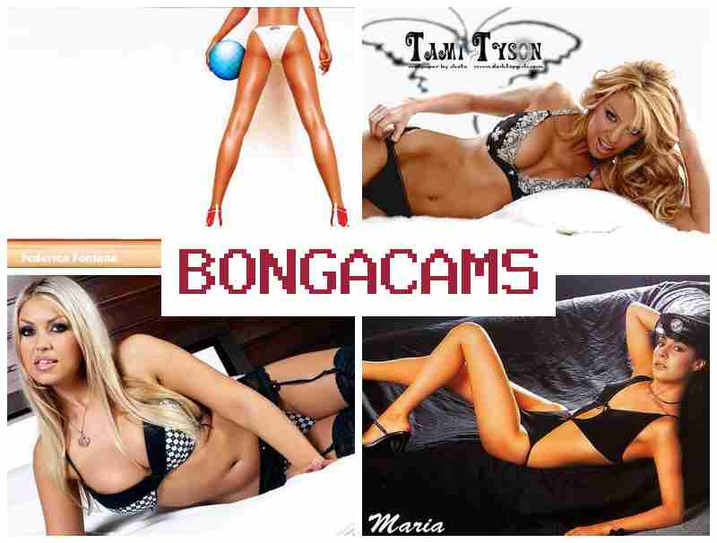 BONGAXAMS 💯 Solo Anal Feet Webcam & Little, Webcam Nude Forum