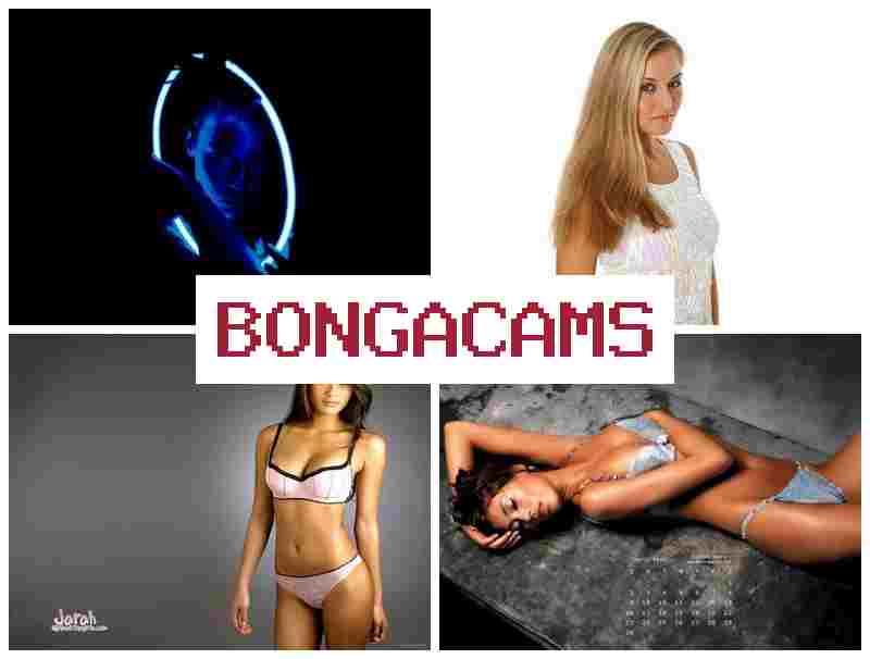 BONGACWMS 💕 Blowjob Big Sex & Arab Sex Porn Movies