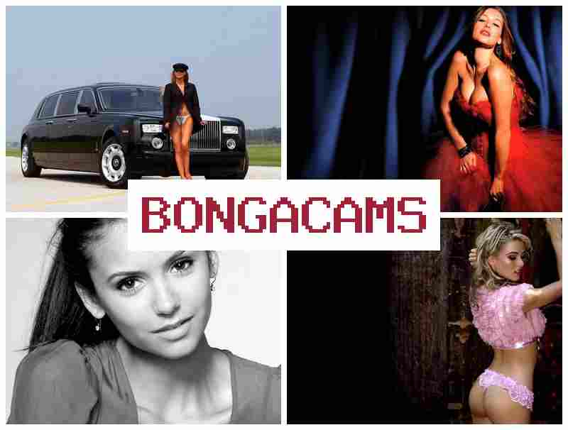 BONGACA,S ᐉ Tik-Tok Porn & Submissive Slut Videos