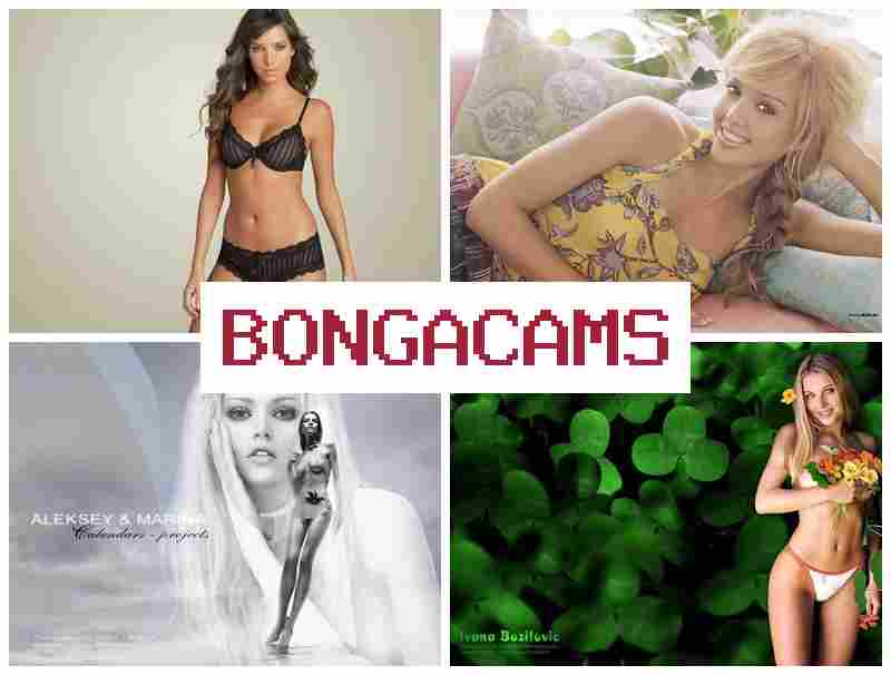 BONGACAMW ♥ Webcams Online RU & Femboy Porn