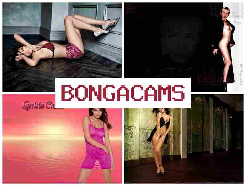 BONGACAME 💏 Porno Webcam Group & Best Good Porn
