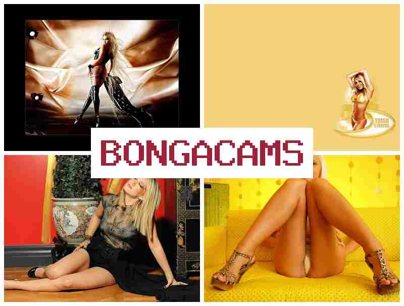 BONGACAMD ⭕ Slut Shaming & Webcam Tits HD