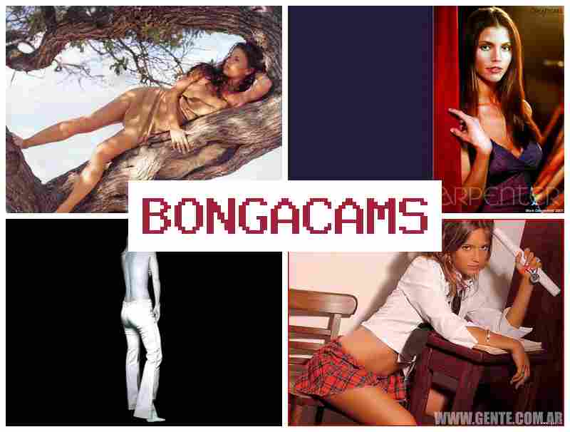 BOGA CAMS 🆕 Porn Online & Leggings Webcam Porn