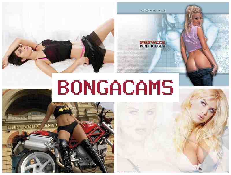 BONGACAMS 💙 Sexy Slut Girl Porn & Web Porn