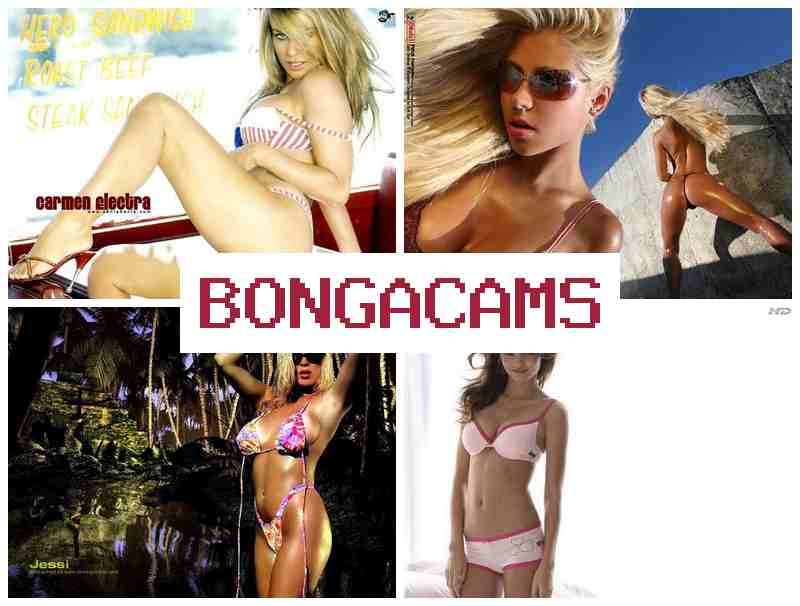 BONGA CMS ☑️ Girls Creampie Sex Videos & Makeup Slut Porn
