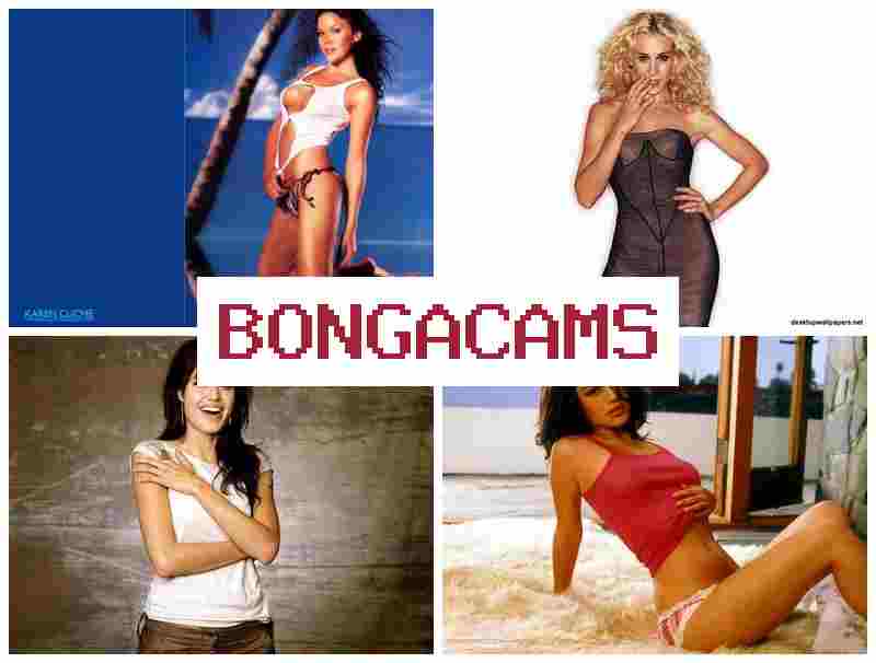 BBONGA CAMS 🔵 Webcam Live XXX Chat & Facing Face Porn BBONGA CAMS 🔵 Webcam Live XXX Chat & Facing Face Porn