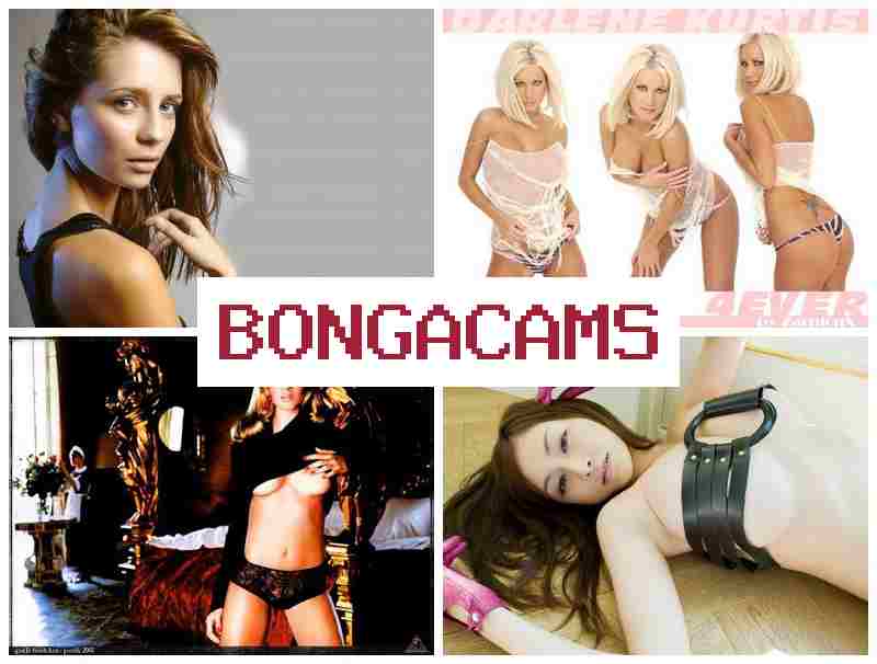BOONGA CAMS 💙 Art Porn & Dirty Sluts Porno