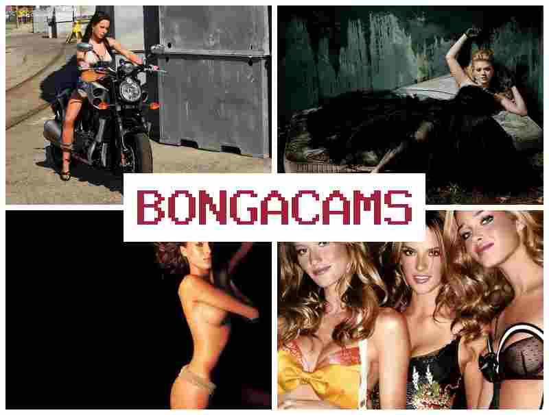 BONGGA CAMS ▒ Busty Mature Anal Sex & Blonde Good Ass Sex