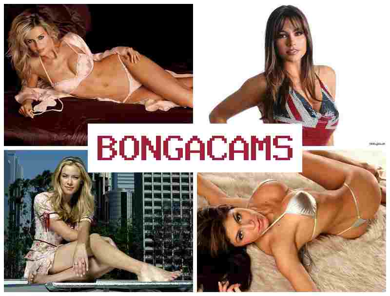 BONGAA CAMS 👍 Tranny Porn & Mature Webcam Telegram BONGAA CAMS 👍 Tranny Porn & Mature Webcam Telegram
