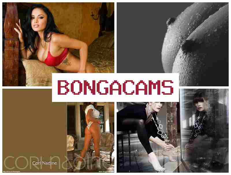 BONGA  CAMS 👩 Porn Searching & 1V1 Video Chat Sex
