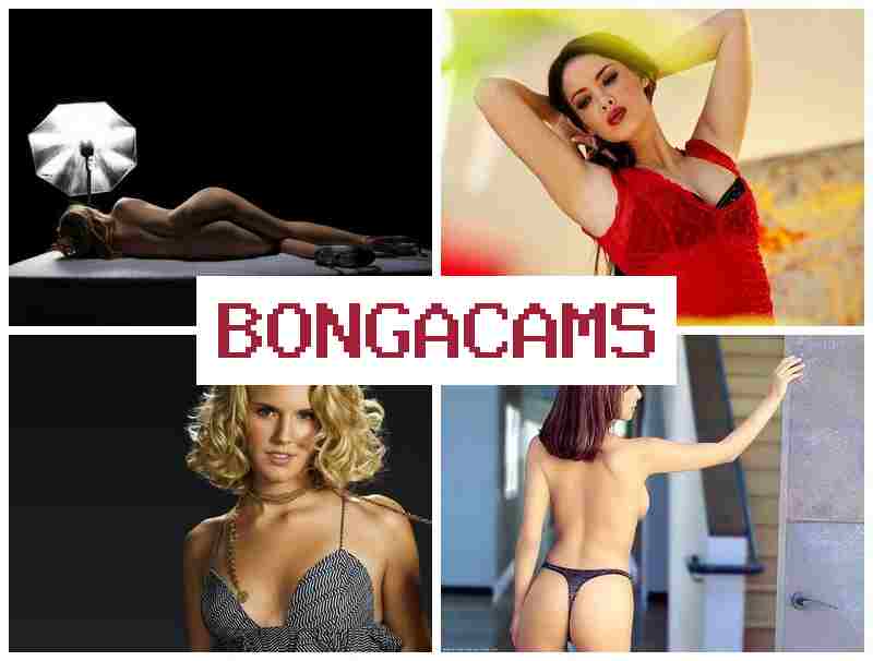BONGA CCAMS 🎇 Anal Porn & Like Porn