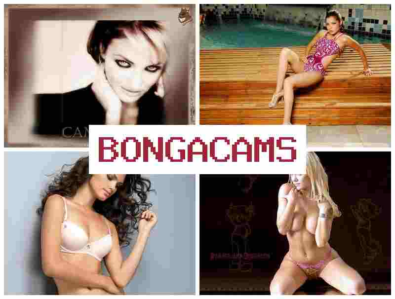 OBNGA CAMS ▒ Real Sluts Porno & Best Free Live Preteen Sex Cams