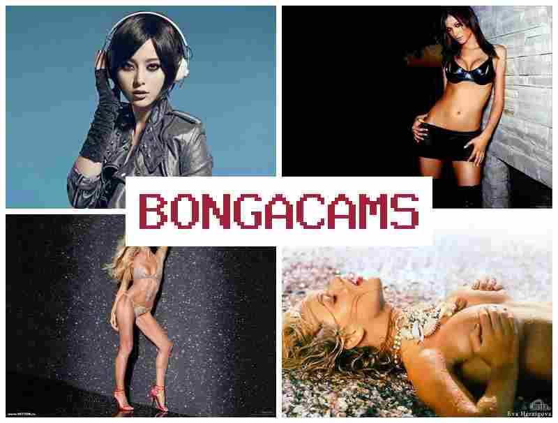 BONGAC AMS 💘 Bus Porn & Amateur Mom Webcam