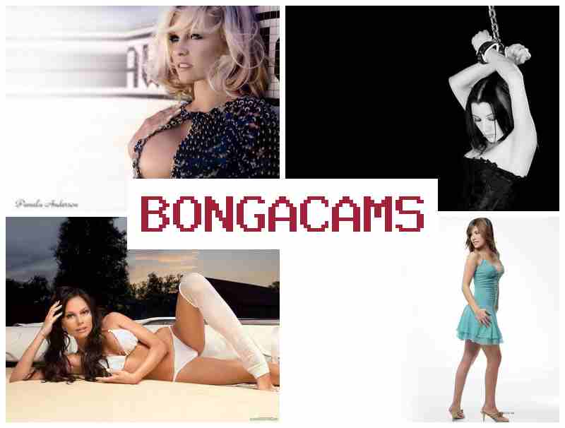 BONGA ACMS 💝 Webcam Fat Porn & Webcam Orgasm Porno Video