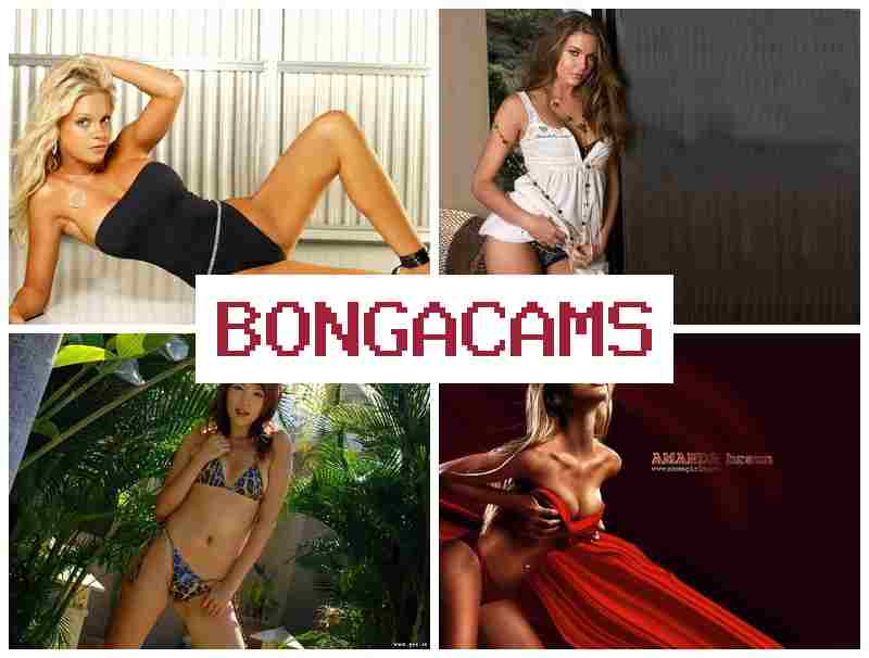 VONGA CAMS 💕 Slut Daughter Sex & Webcam Amateurs Ass Anal