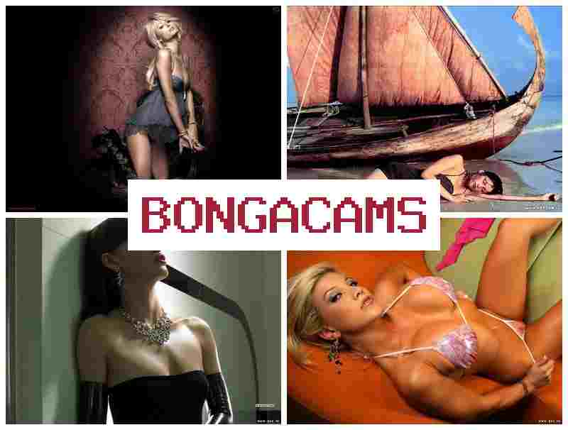 BOBGA CAMS 💏 Pussy Porn & Big Ass Milf, Webcam Solo