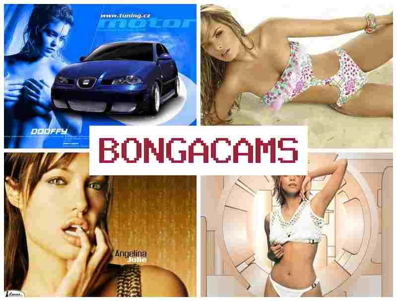 BOHGA CAMS 🔴 Gangbang Creampie Slut & BBW Webcam Video