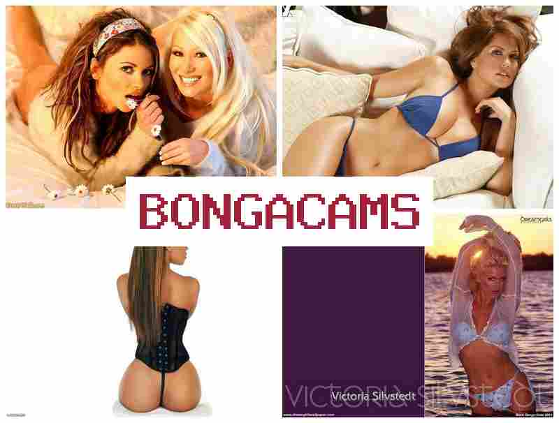 BOMGA CAMS 🆓 ASMR Porn & Milf, Webcam Categories XXX