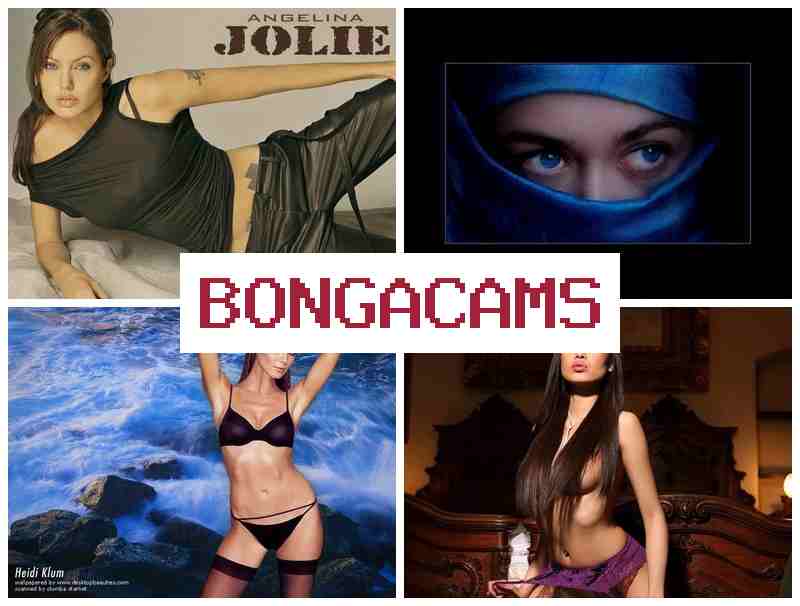 BONTA CAMS 📹 Easy Slut & Dragon Porn