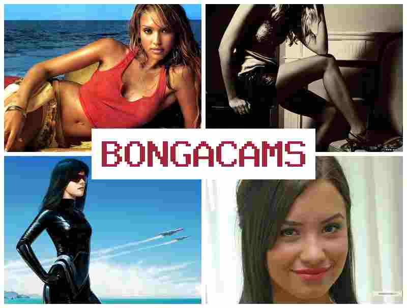 BONGA FAMS 💏 Did Porn & Ts Slut Porn