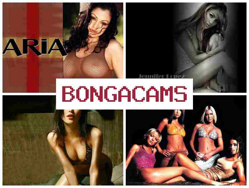 BONNGACAMS 🔻 Chest Girls Sex & Huge Porn