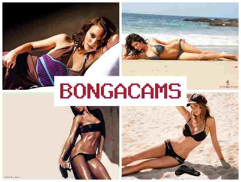 BONGA CAMA 💛 Fnaf Porn & Teens Asian Webcam, Anal Porno