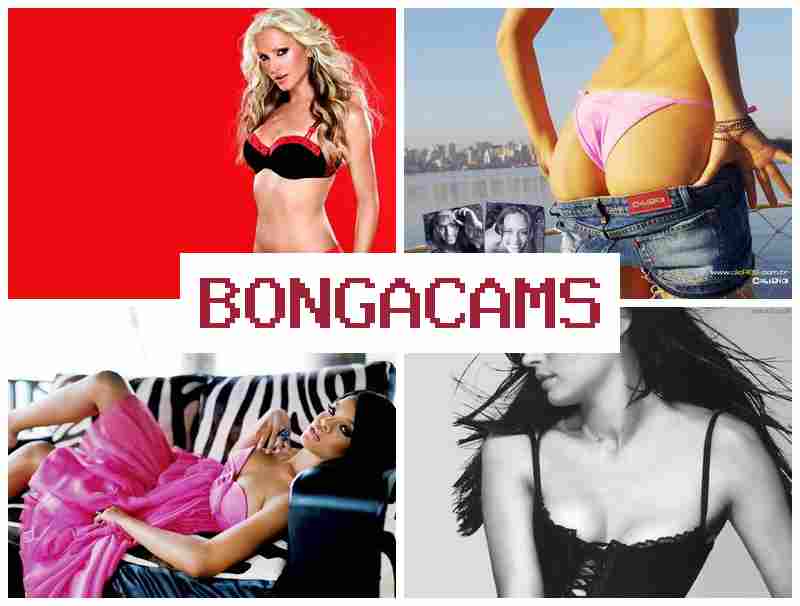 BONGA CAMZ 🔴 Gay Porn TG & Webcam, Teen Posing Naked