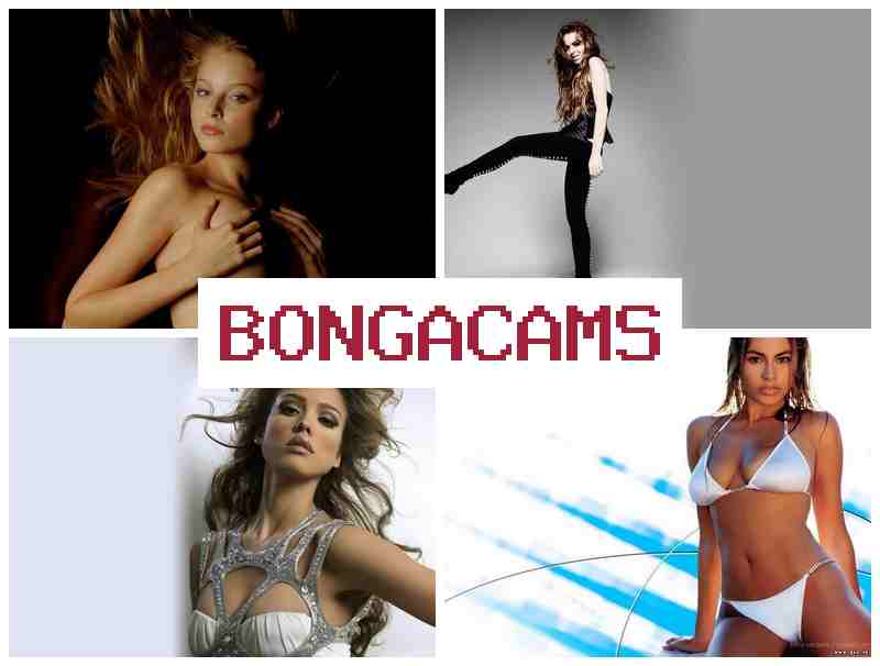 OBNGACAMS 👩 Anal, Webcam Sex Couples & Peach Porn