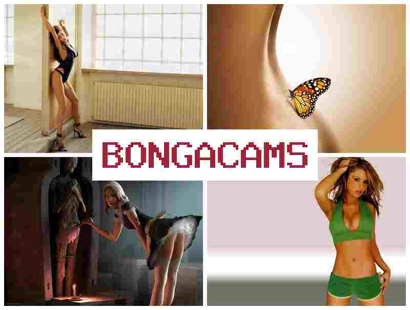 BNOGACAMS 👠 Russian Orgasm, Webcam & FFM Sex Movies