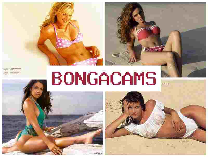 BONGAACMS 📹 Anal Sex Home Teen Tits & Www Porn BONGAACMS 📹 Anal Sex Home Teen Tits & Www Porn