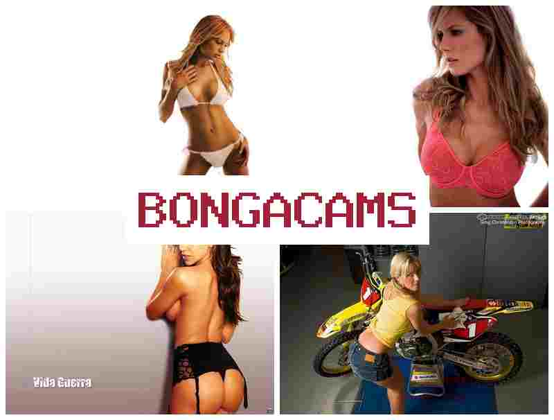 BONGACMAS ✔️ Slut Blowjob 18+ & Chat Video Monkey